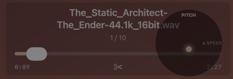 Warp with axis lock indicator showing locked dimension
